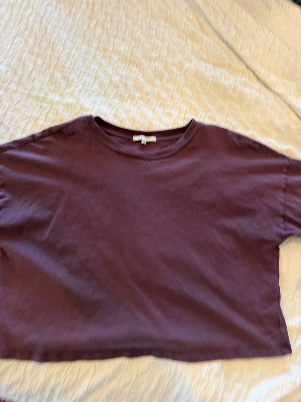 Z Supply Cropped Tee in Plum